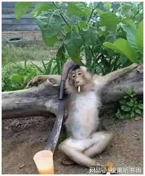 搞笑图片幽默段子笑话猴哥看来你也有烦恼啊  搞笑图片幽默段子笑话猴哥看来你也有烦恼啊