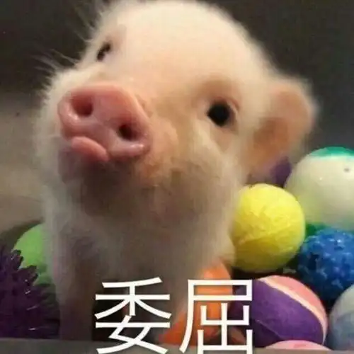  你人生中有哪些很傻很天真的第一次
