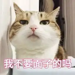  浙江一小学生求助交警送自己上学对话内容太有意思...