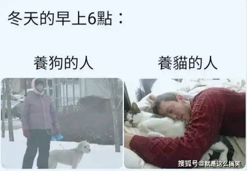  搞笑幽默,轻松一刻,段子图片集锦3