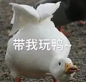  25樱花都开了赣州天气搞事情过年天气