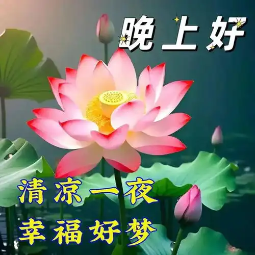  2024年7月24日周三早安祝福语图片,盛夏愉快,注意防暑