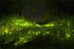  晚安心语每一段路,只要还有不甘心,它就没有尽头