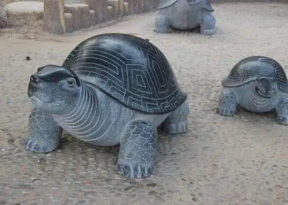 石雕乌龟在家中应该怎样摆放,有这么多你还不知道的好处  石雕乌龟在家中应该怎样摆放,有这么多你还不知道的好处