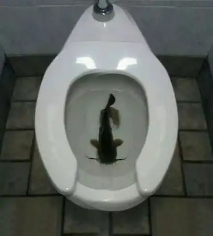  找亮点