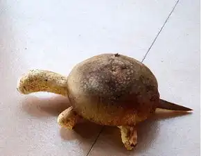 搞笑gif趣图护士姐姐,你们医院很缺胶布吗用纸给我贴上