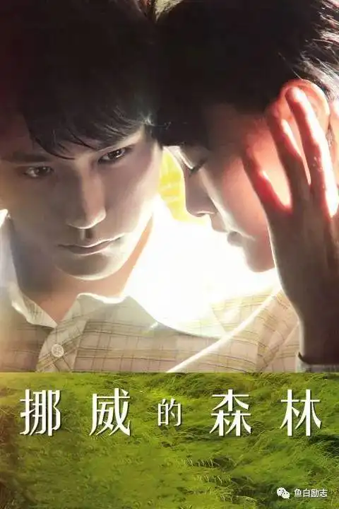  再看挪威的森林才懂得每个女人,都应该活成绿子的模样