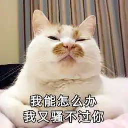  妈见爱小奶猫表情包像我这种喵,你除了宠着也没有别的什么办法