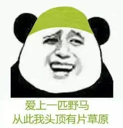  广西男子网上招嫖,鸡头发来照片竟是他在外打工的妻子