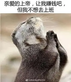 你为什么会有妹子不堪入目的照片囧图下面的发展呢  你为什么会有妹子不堪入目的照片囧图下面的发展呢