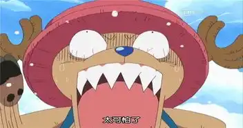 海贼王搞笑图片集合那些年让你笑出猪叫的海贼名场景

