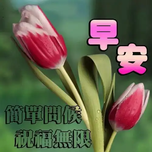 如果还没有找到奋斗的目标,那么先从坚持一个好习惯开始吧,早安  如果还没有找到奋斗的目标,那么先从坚持一个好习惯开始吧,早安