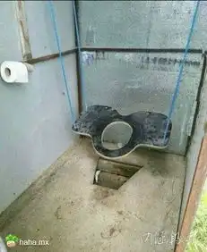  秋千式坐便器,上完厕所,满地.哈哈.mx分享