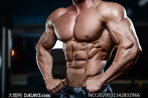 男健身图片素材
