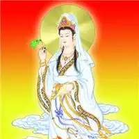 观音搞笑头像图片大全观