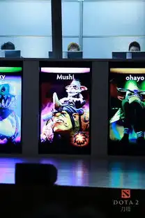  ti3现场观战全纪录dota2女粉丝大秀中国美腿图片