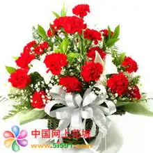  美丽季节,商品内容材料红色康乃馨36朵铁炮2朵满天星绿叶丰满包装花篮赠送对象朋友,父母,老师鲜花用途友情,祝福,慰问