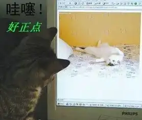  解封小笑话搞笑图片