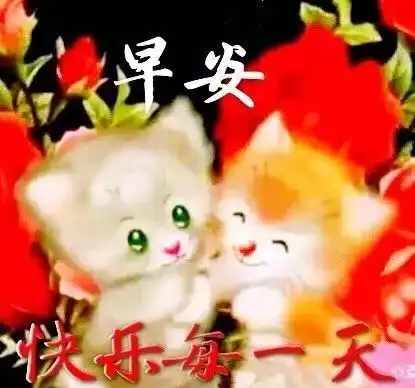  2019最新表情包,真漂亮送给群里每一位朋友