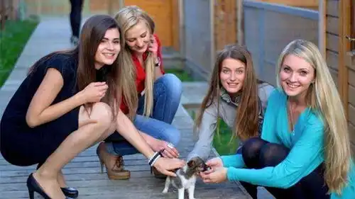  为什么美女嫁过来后,就不愿意再回去