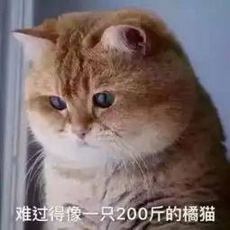  e句话看天下丨原来搞笑艺人才是真正的女神收割机