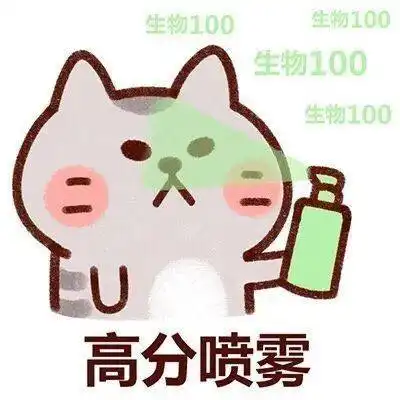  高考惊涨100分灵宝考生专属,高考前的最后一转