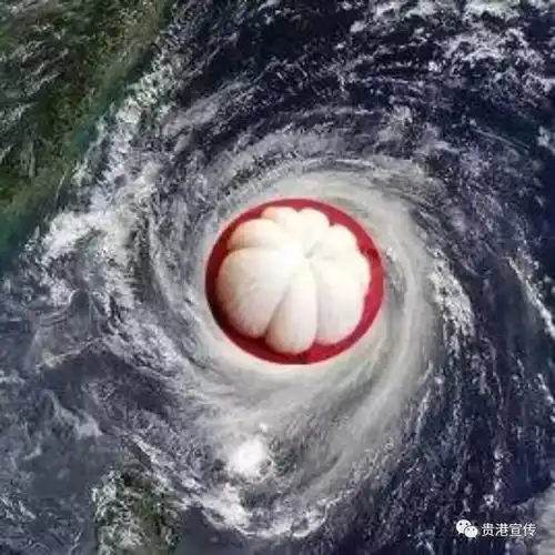  预警17级超强台风山竹逼近贵港