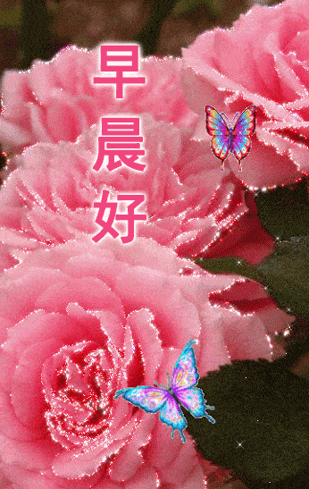  超级漂亮早上好问候祝福语动态图片冬天清晨温馨早安问候动画表情图片