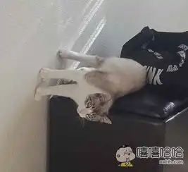 搞笑图片集锦带字暴笑