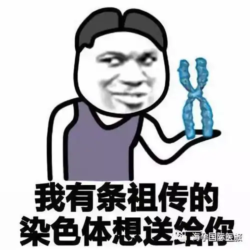 搞笑图片带字斗图专用表