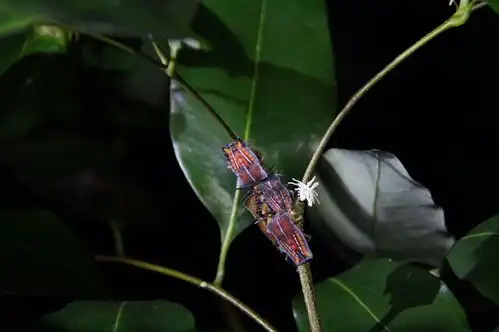  精彩活动回顾中山公园寻虫季