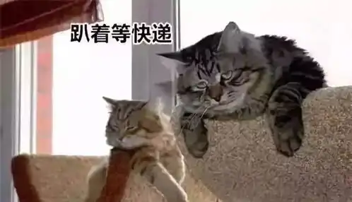  华联感恩节钜惠来啦,你还宅在家等快递聪明的人都来这了