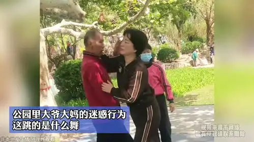 公园里大爷大妈的迷惑行为,这跳的是什么舞  公园里大爷大妈的迷惑行为,这跳的是什么舞