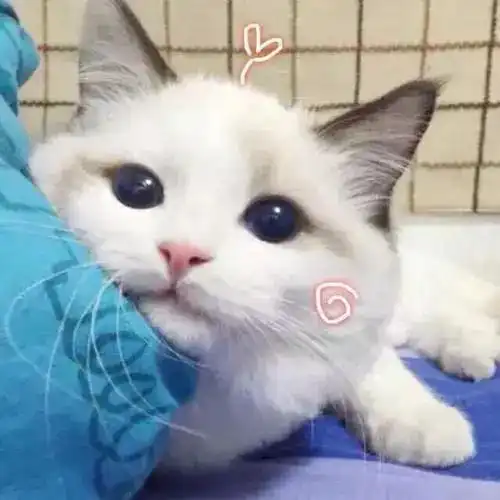  玩过那么多app,设计还是不会看看这些素材