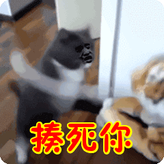  搞笑gif动态图片老婆快过来,我给你一个惊喜
