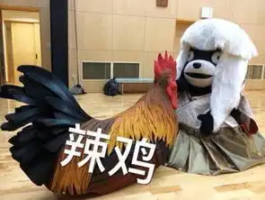  图说年假将尽,鸡年大吉了吗
