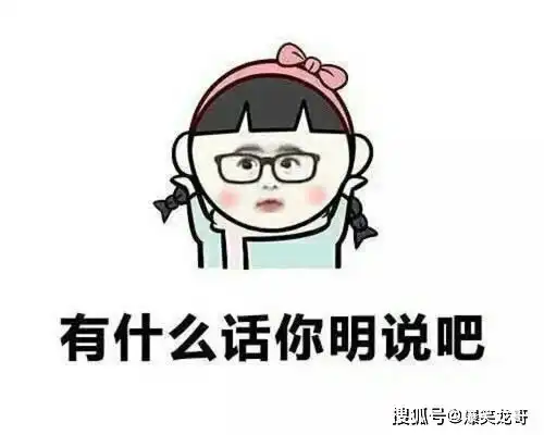 猫gif搞笑图片起床