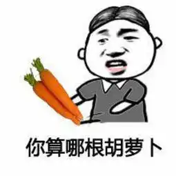  邓禄普轮胎enasaveec30020560r1692vdunlop