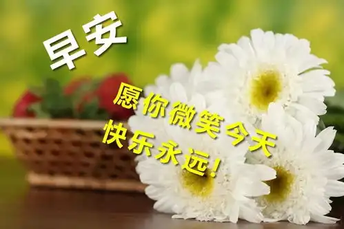  微信最新特别漂亮早上好动态图片带字清晨问候早上好的幽默句子大全