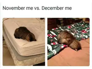 忘记吃药的搞笑喵星人组图  忘记吃药的搞笑喵星人组图