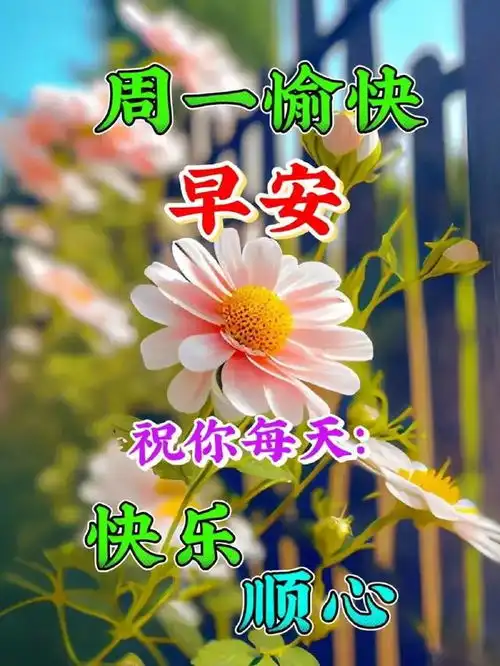  2024年6月24日最新早上好图片送好友早安问候图片