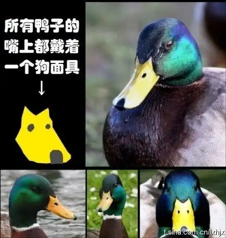  我的收藏