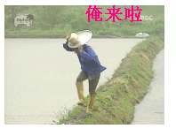  找一个农民说我来了的动态图片