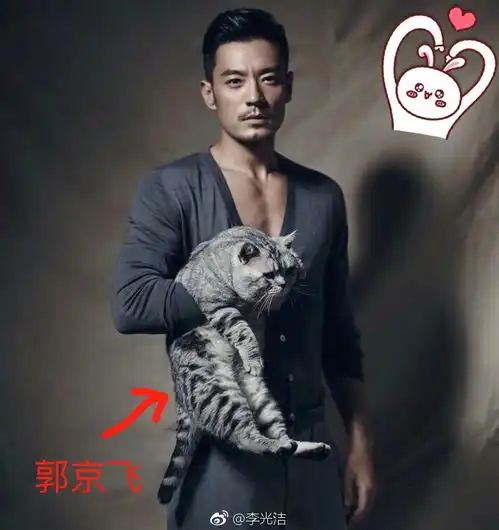  李光洁晒吸猫旧照胸肌抢镜给猫取名郭京飞