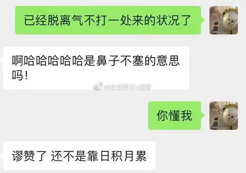  搞笑女竟被帅哥告白了救命聊天截图也太甜了