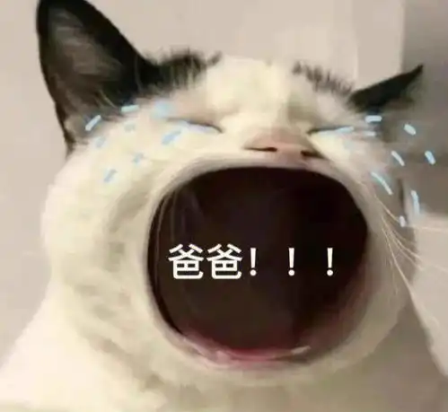  笑话十条老婆我给你挠挠痒吧