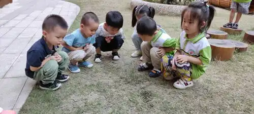  大西幼教育集团森林城分园小三班开展快乐游戏,健康成长健康活动