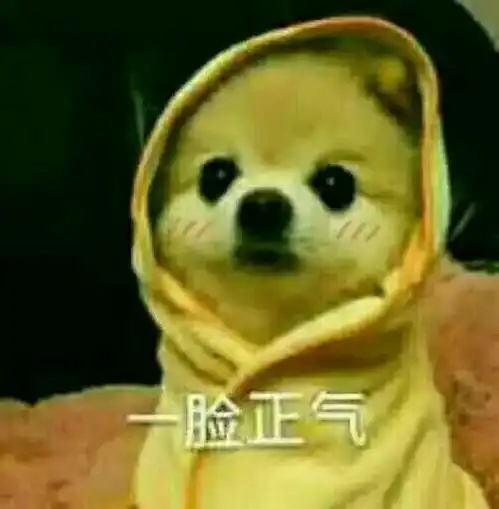  女生爱上自己的女老师是一种什么体验