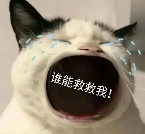  让油痘肌又爱又恨的神器,想说爱你太难了