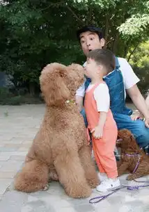 狗子惊讶表情包gif